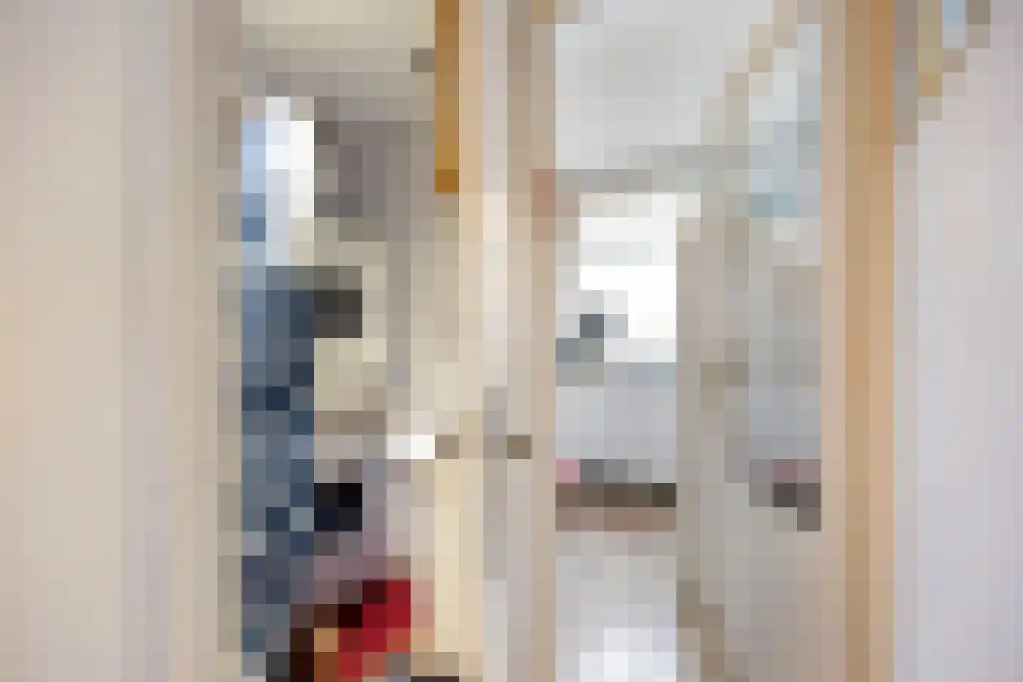 Dordtselaan 244 A Rotterdam thumbnail 19