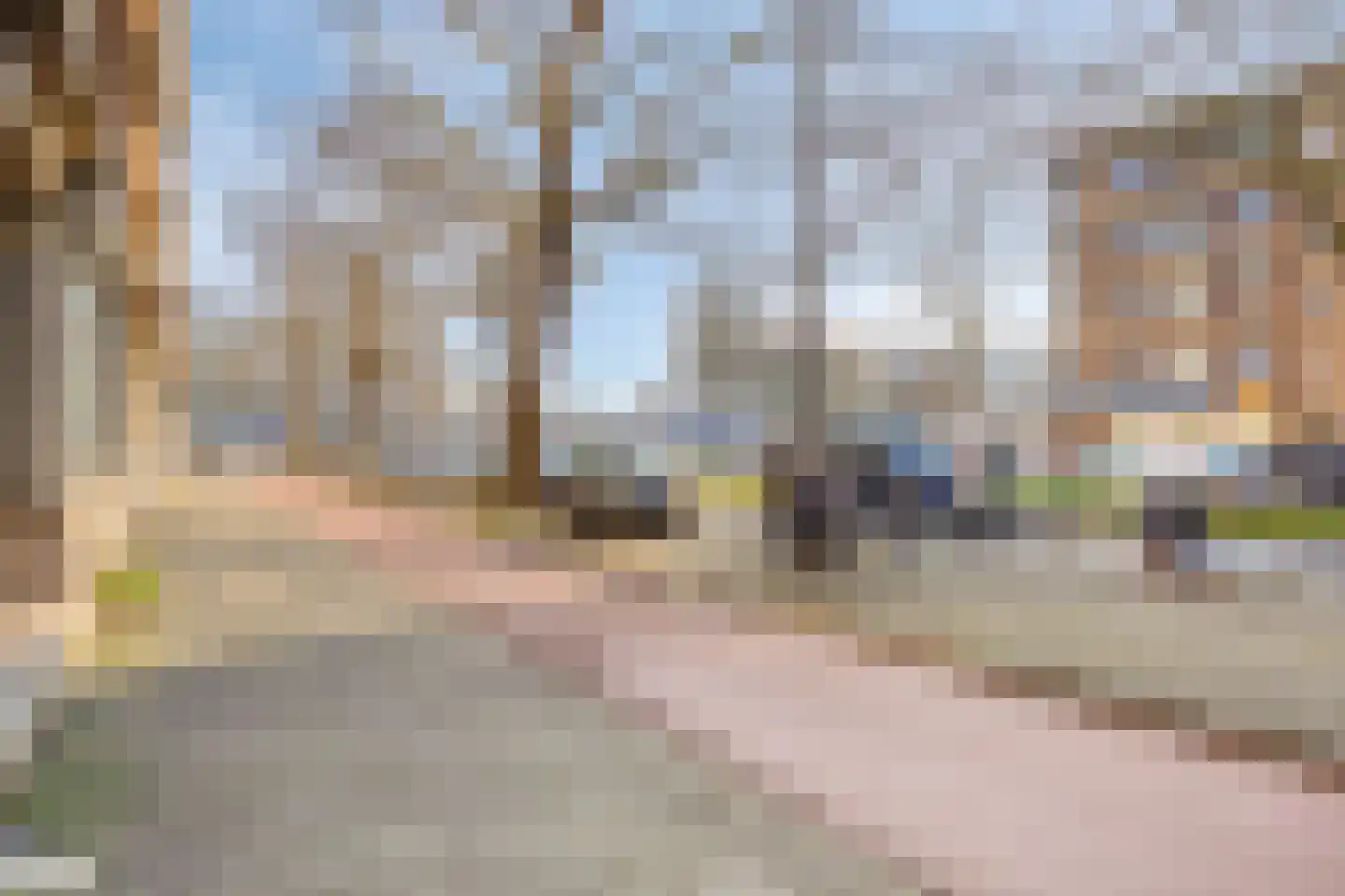 Dordtselaan 244 A Rotterdam thumbnail 4