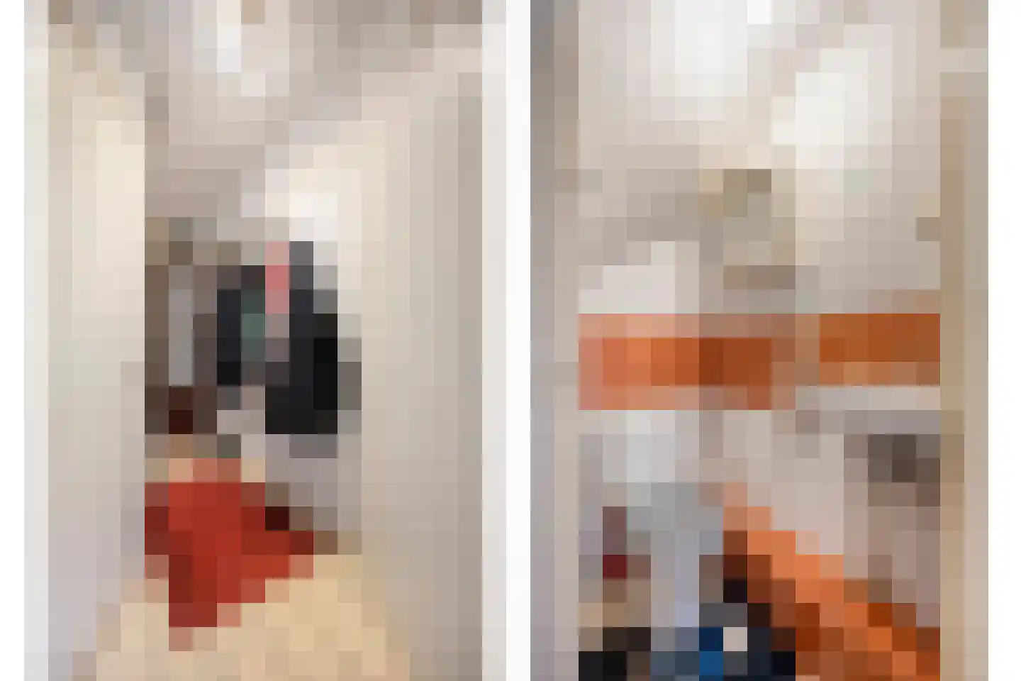 Dordtselaan 244 A Rotterdam thumbnail 6