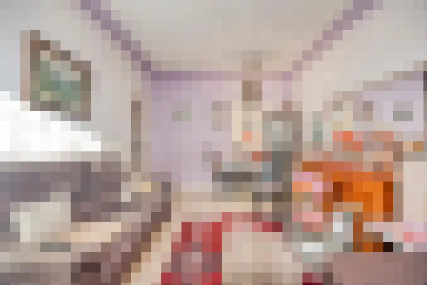 Dordtselaan 244 A Rotterdam thumbnail 9