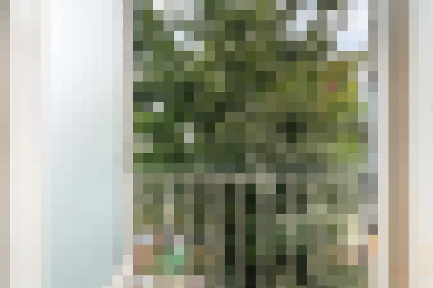 Dordtselaan 250 A Rotterdam thumbnail 21