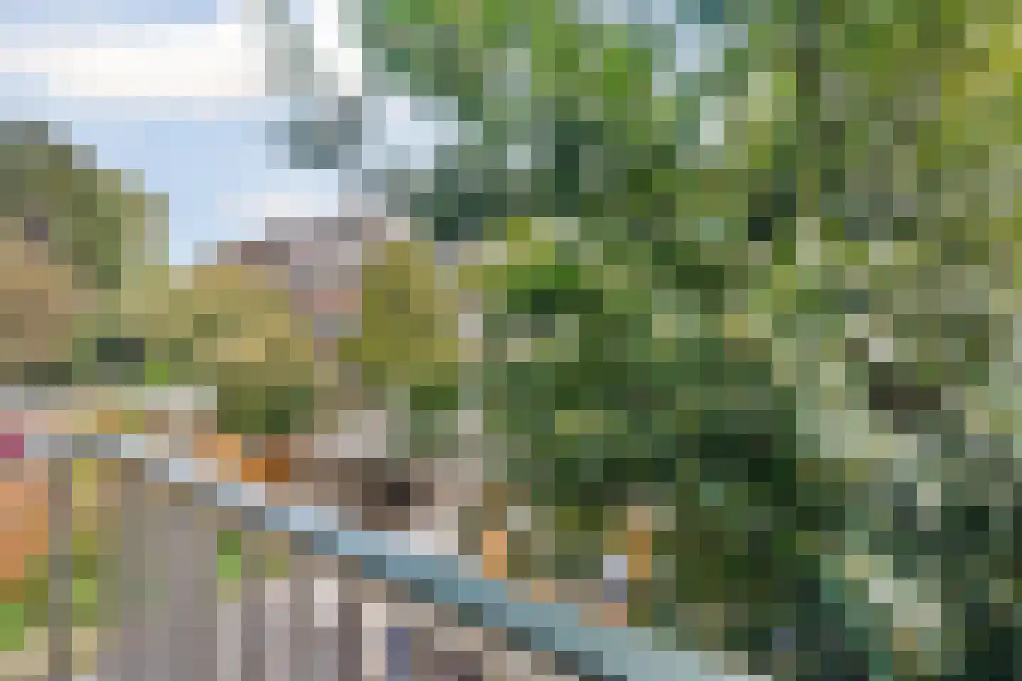 Dordtselaan 250 A Rotterdam thumbnail 23