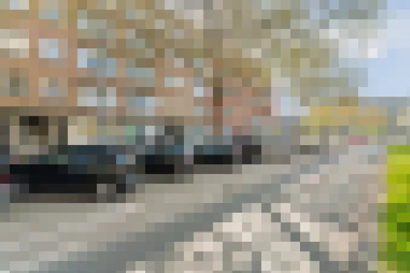 Dordtselaan 250 A Rotterdam thumbnail 28