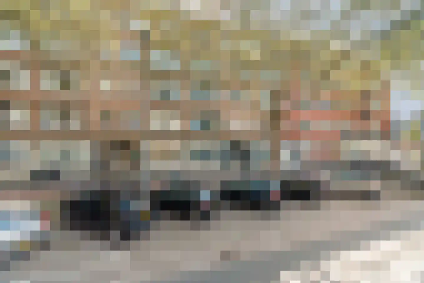 Dordtselaan 250 C 03 Rotterdam thumbnail 26