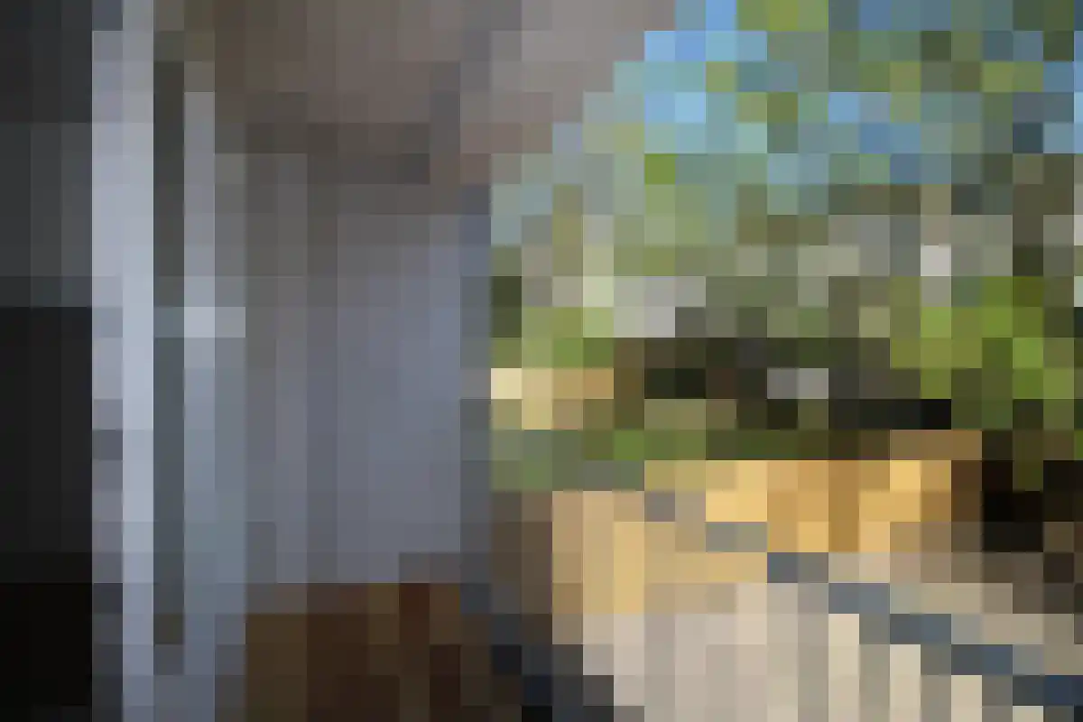 Dordtselaan 26 Rotterdam thumbnail 5
