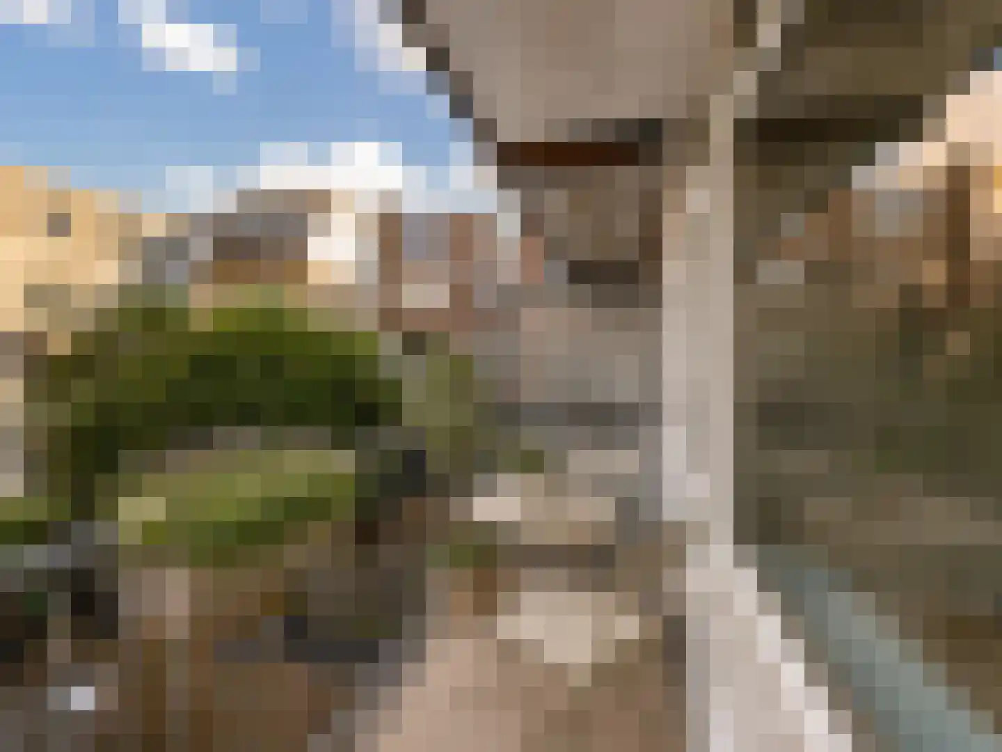 Dordtselaan 30 B Rotterdam thumbnail 11