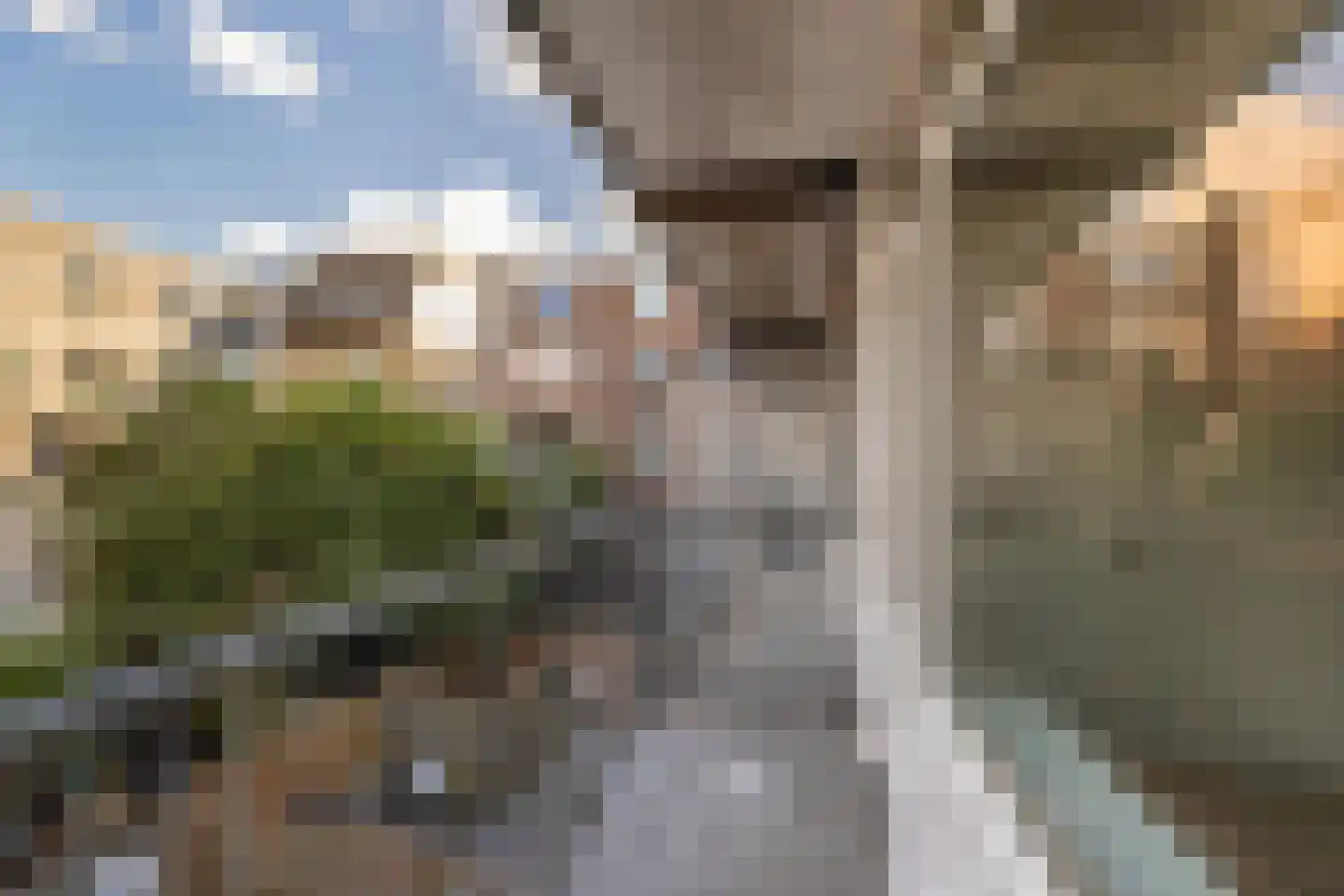 Dordtselaan 30 B Rotterdam thumbnail 13