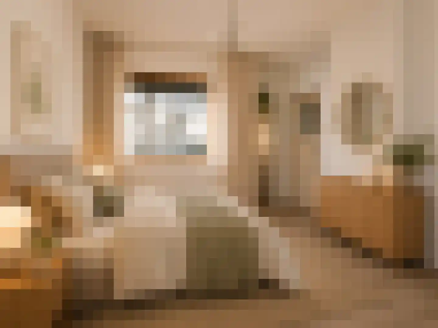 Dordtselaan 30 B Rotterdam thumbnail 15