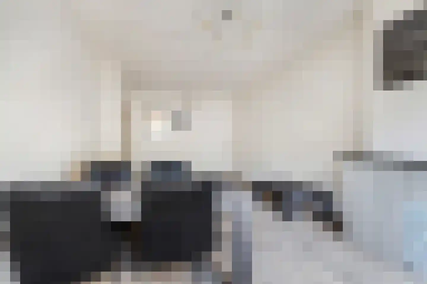 Dordtselaan 30 B Rotterdam thumbnail 24