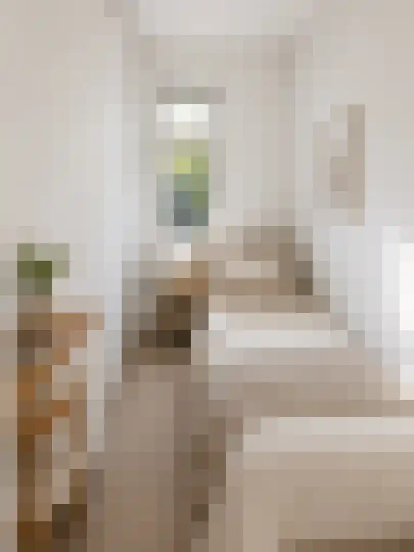 Dordtselaan 30 B Rotterdam thumbnail 25