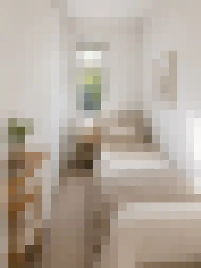 Dordtselaan 30 B Rotterdam thumbnail 25