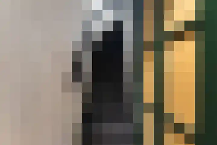 Dordtselaan 47 D Rotterdam thumbnail 10
