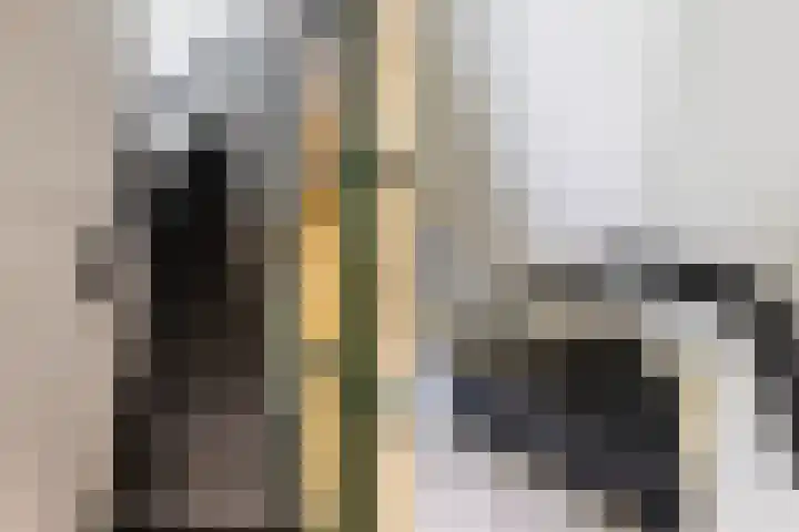 Dordtselaan 47 D Rotterdam thumbnail 11