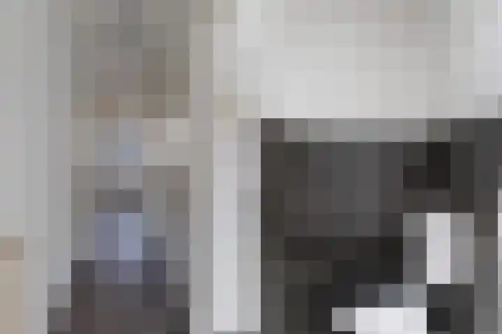 Dordtselaan 47 D Rotterdam thumbnail 13