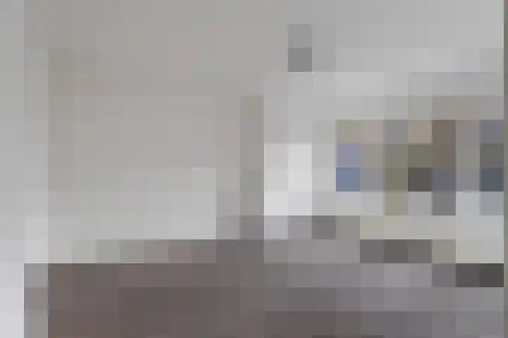 Dordtselaan 47 D Rotterdam thumbnail 15