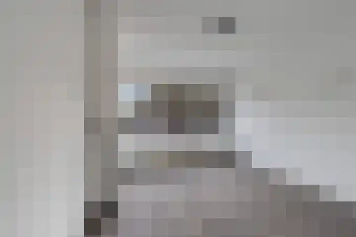 Dordtselaan 47 D Rotterdam thumbnail 16