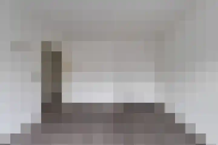 Dordtselaan 47 D Rotterdam thumbnail 19
