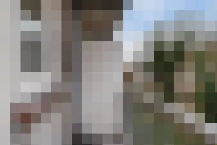 Dordtselaan 47 D Rotterdam thumbnail 23