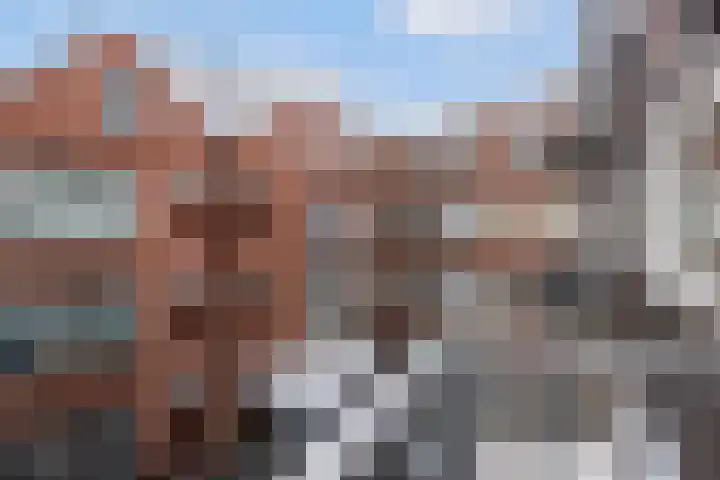 Dordtselaan 47 D Rotterdam thumbnail 25