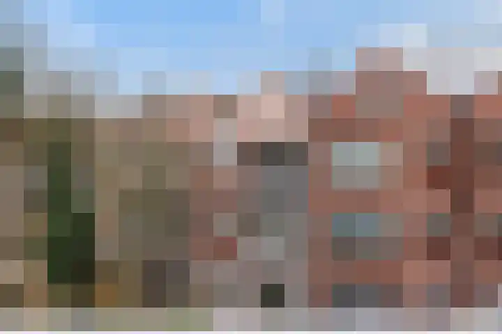 Dordtselaan 47 D Rotterdam thumbnail 26
