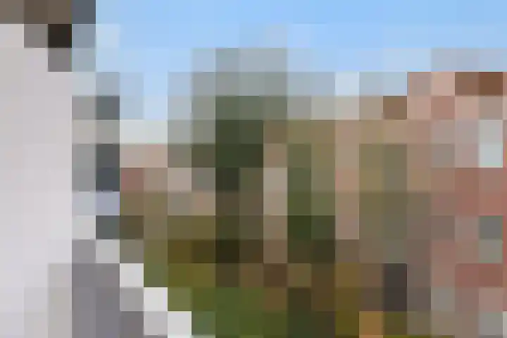 Dordtselaan 47 D Rotterdam thumbnail 27