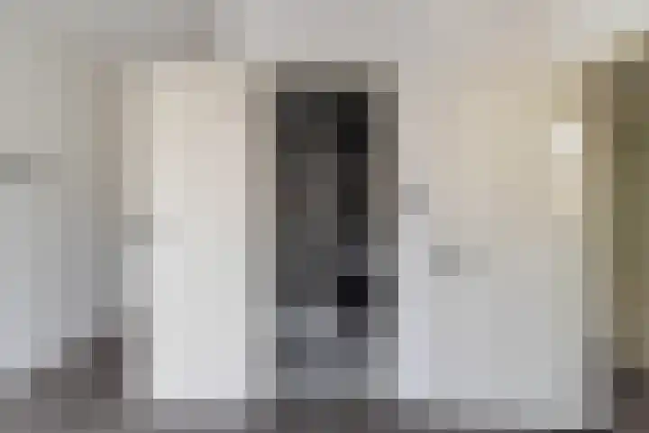 Dordtselaan 47 D Rotterdam thumbnail 34