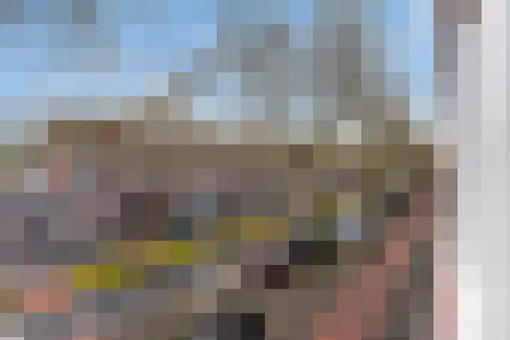 Dordtselaan 47 D Rotterdam thumbnail 37