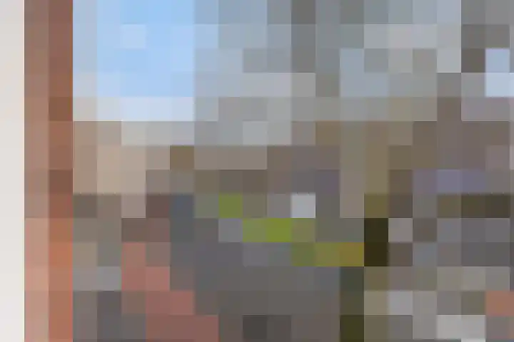 Dordtselaan 47 D Rotterdam thumbnail 38