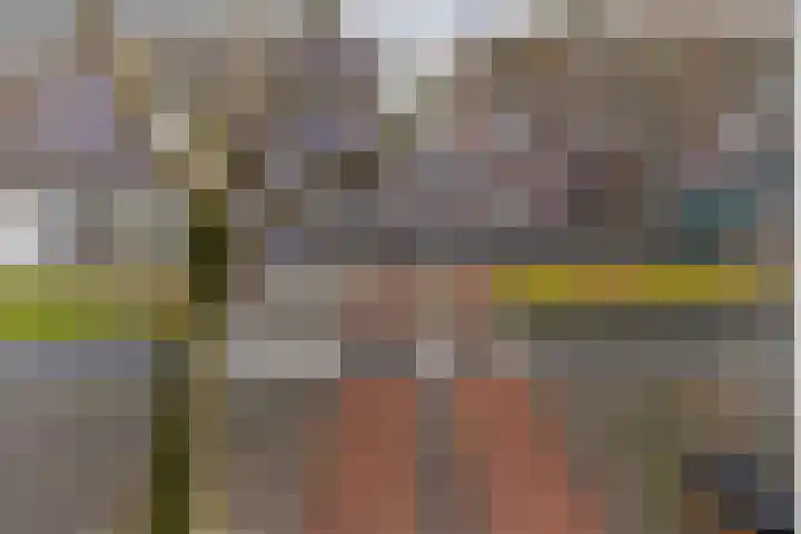 Dordtselaan 47 D Rotterdam thumbnail 39