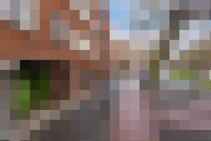 Dordtselaan 47 D Rotterdam thumbnail 4