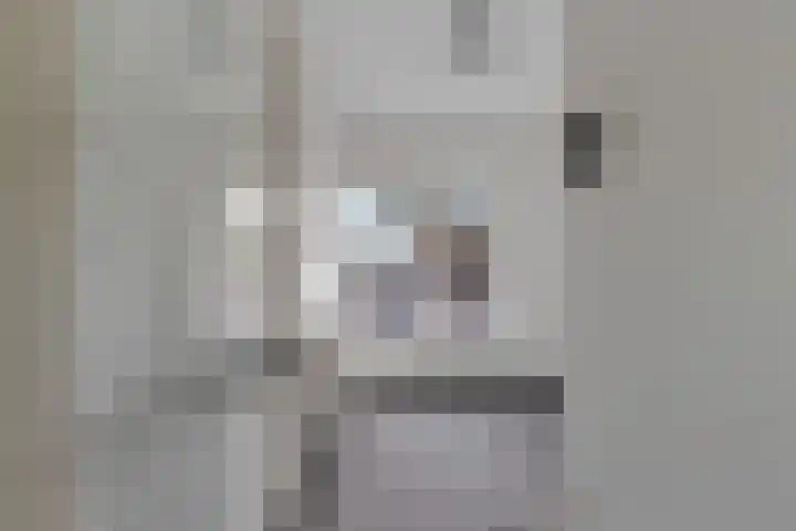 Dordtselaan 47 D Rotterdam thumbnail 40