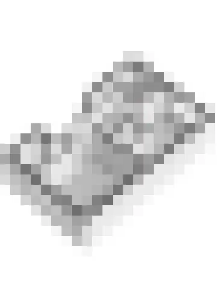 Dordtselaan 47 D Rotterdam thumbnail 46