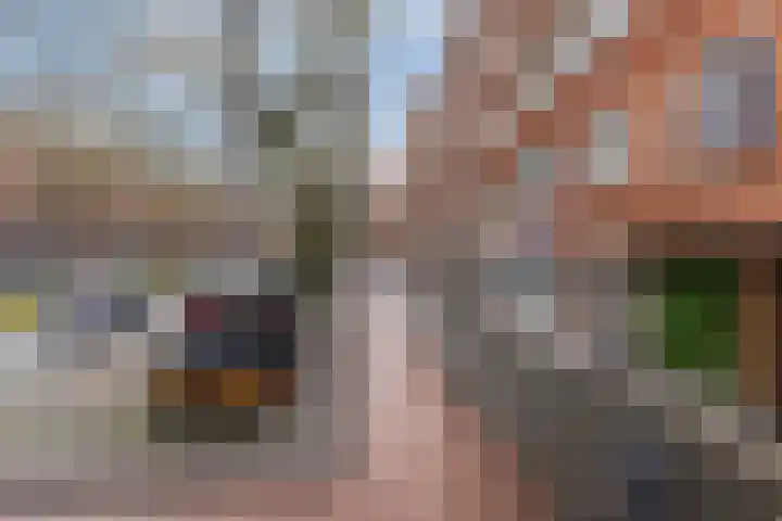 Dordtselaan 47 D Rotterdam thumbnail 5