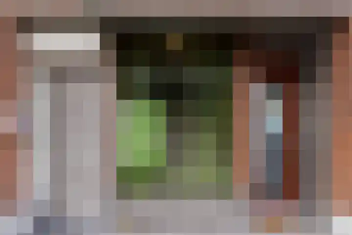 Dordtselaan 47 D Rotterdam thumbnail 6