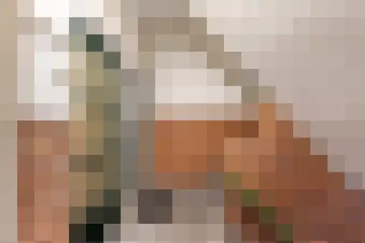 Dordtselaan 47 D Rotterdam thumbnail 8