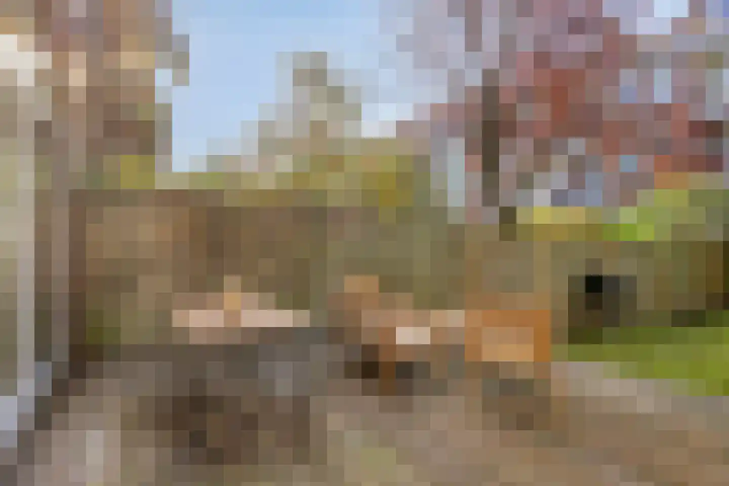 Dordtselaan 59 B Rotterdam thumbnail 18