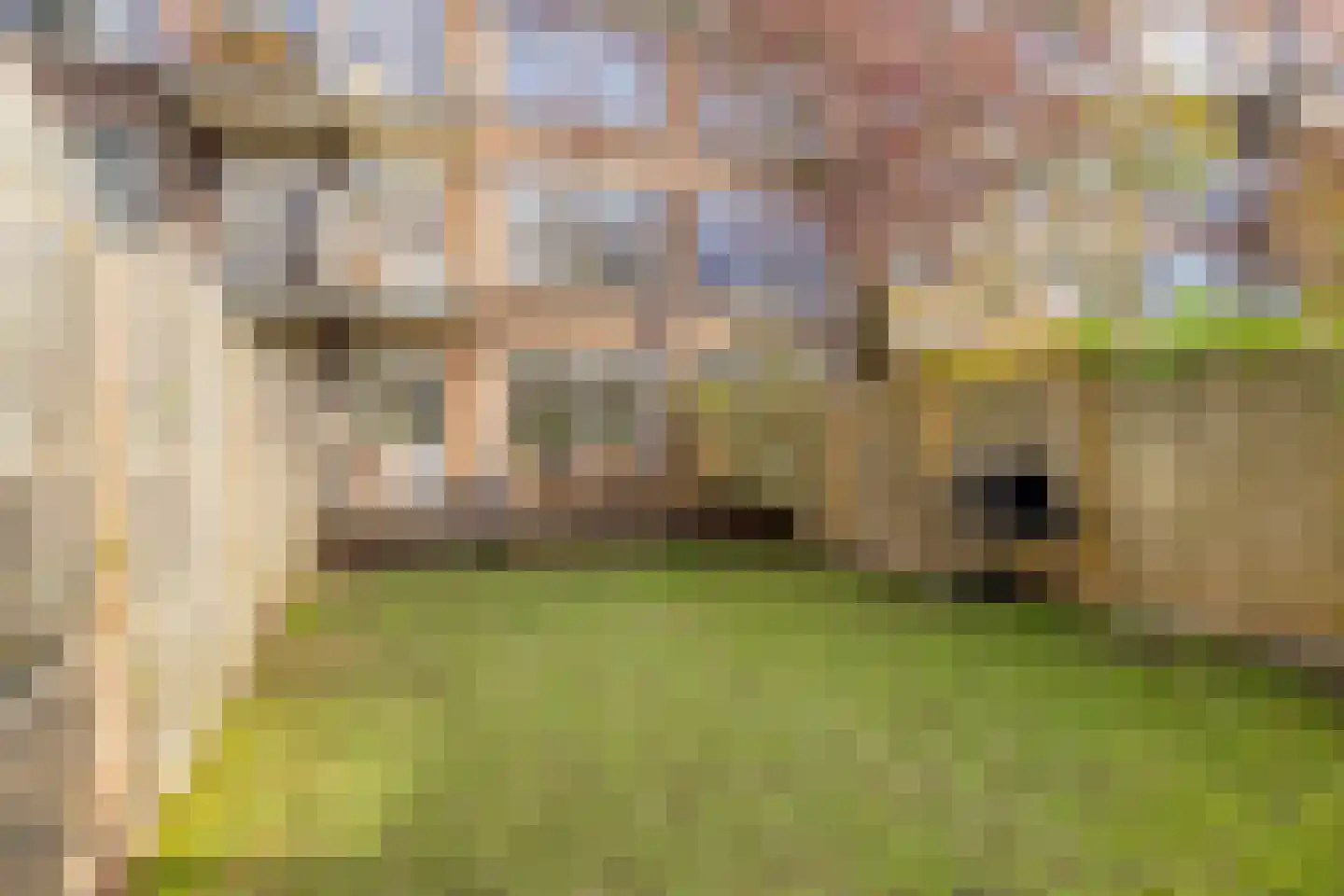 Dordtselaan 59 B Rotterdam thumbnail 19