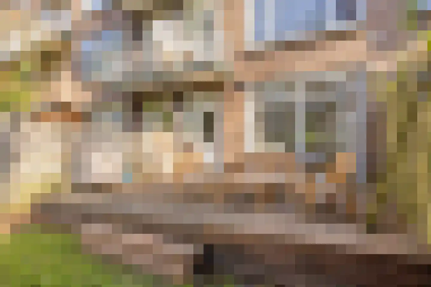 Dordtselaan 59 B Rotterdam thumbnail 20