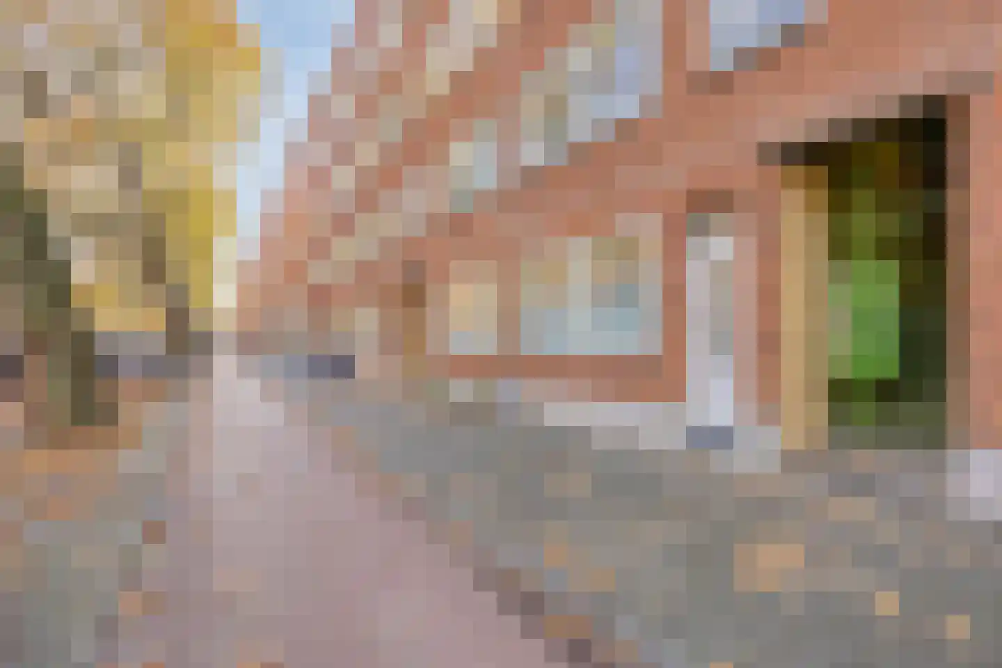 Dordtselaan 59 B Rotterdam thumbnail 21