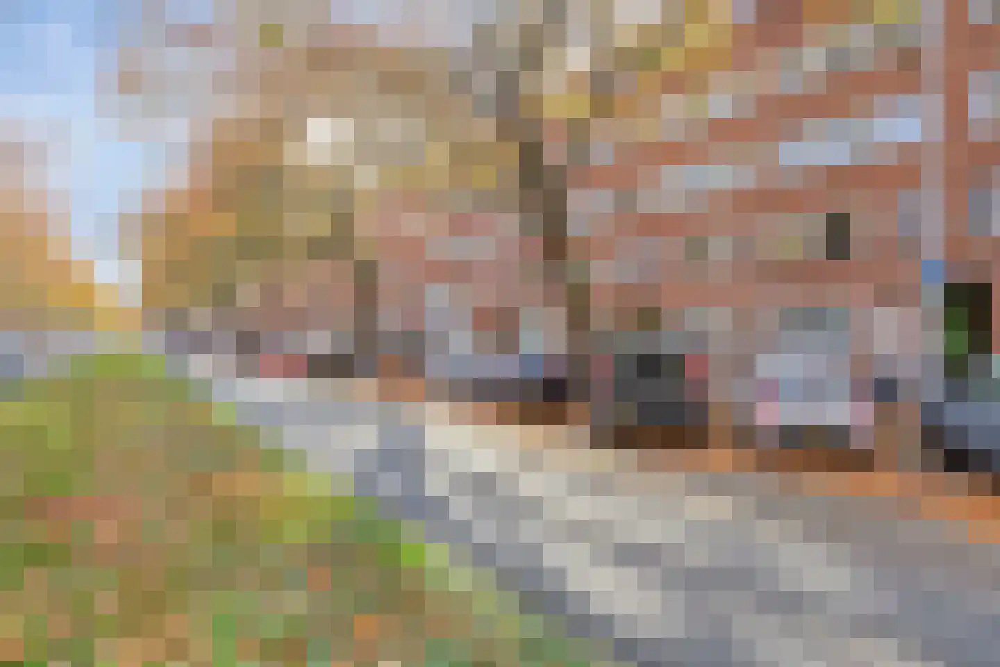 Dordtselaan 59 B Rotterdam thumbnail 23