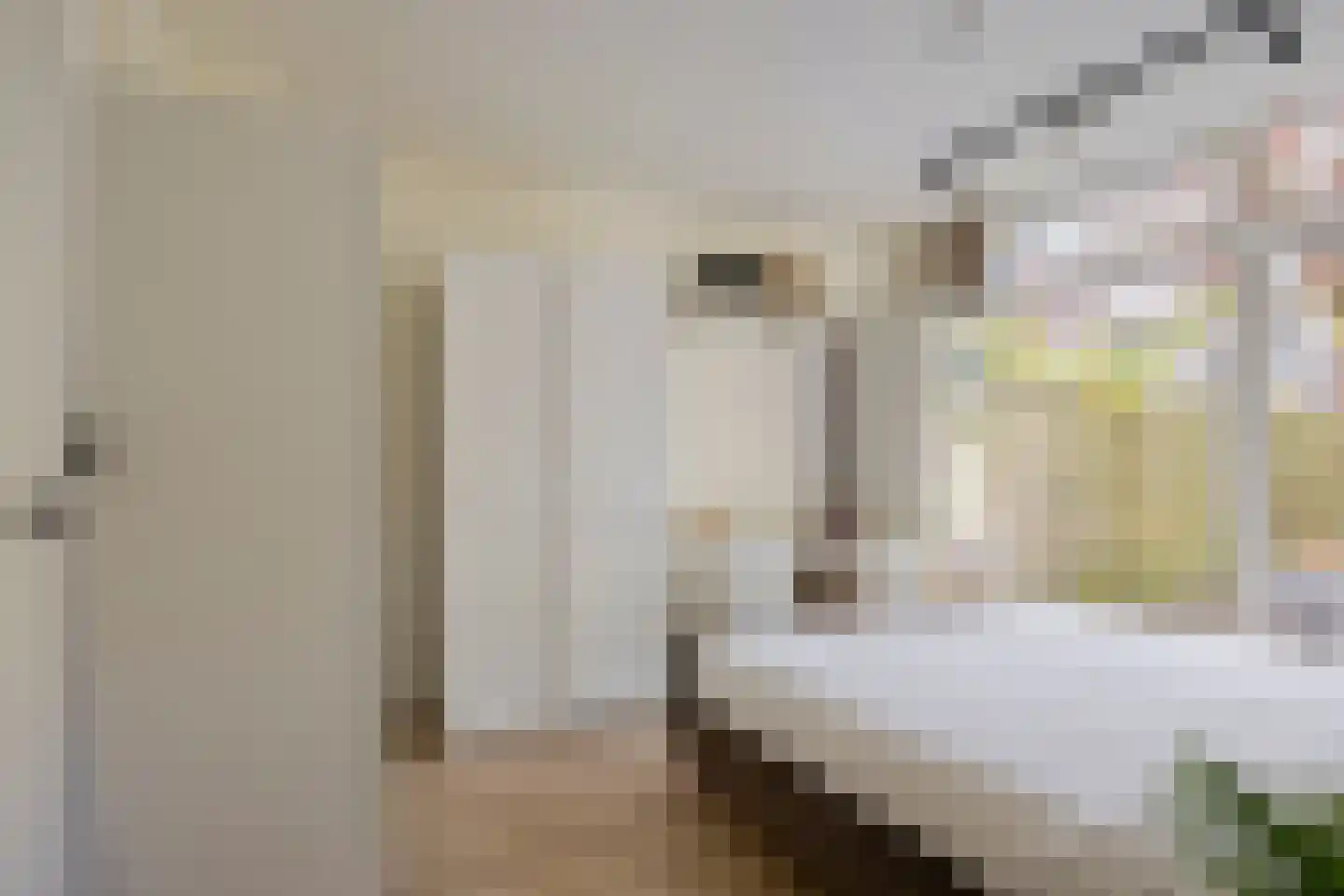 Dordtselaan 59 B Rotterdam thumbnail 4
