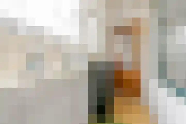 Dordtselaan 62 B Rotterdam thumbnail 20