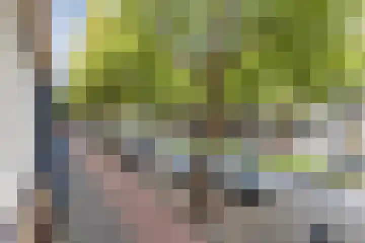 Dordtselaan 68 A 03 Rotterdam thumbnail 21
