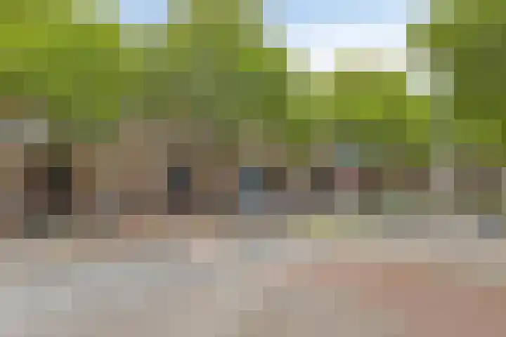 Dordtselaan 68 A 03 Rotterdam thumbnail 26