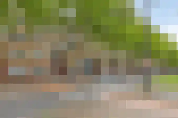 Dordtselaan 68 A 03 Rotterdam thumbnail 27
