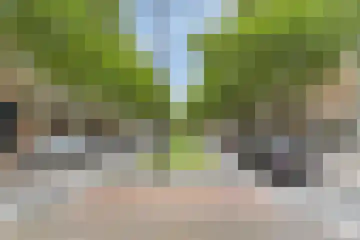 Dordtselaan 68 A 03 Rotterdam thumbnail 28