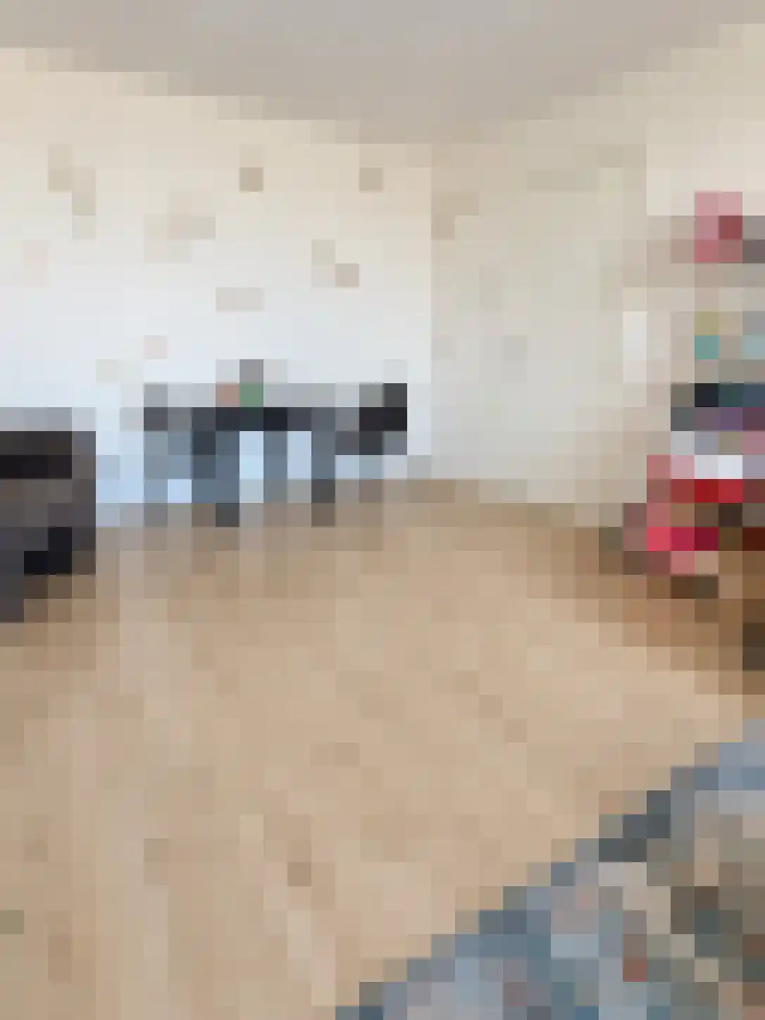 Dordtselaan 72 Rotterdam thumbnail 5