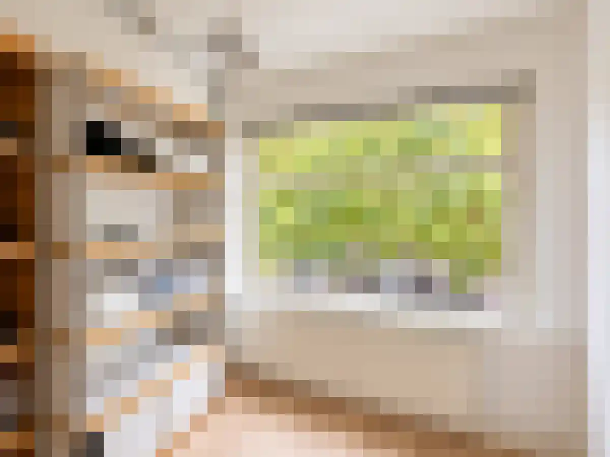 Dordtselaan 73 Rotterdam thumbnail 6