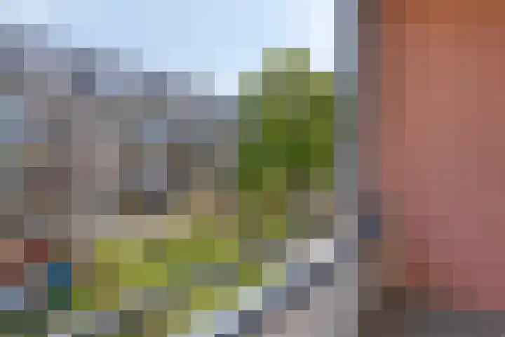 Dordtselaan 76 A 02 Rotterdam thumbnail 12
