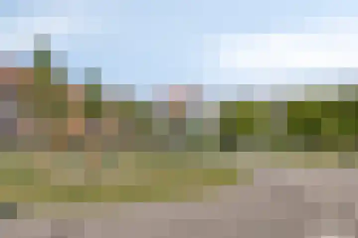 Dordtselaan 76 A 02 Rotterdam thumbnail 17